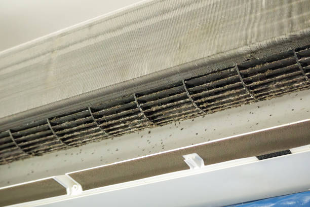 Best Air Quality Test  in Brookston, IN