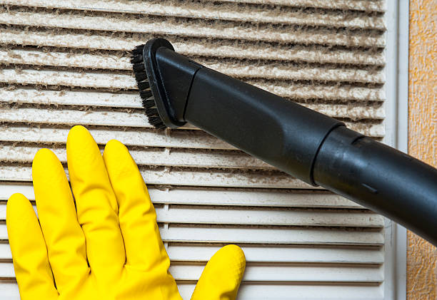 Best Air Duct Sanitizing Services  in Brookston, IN